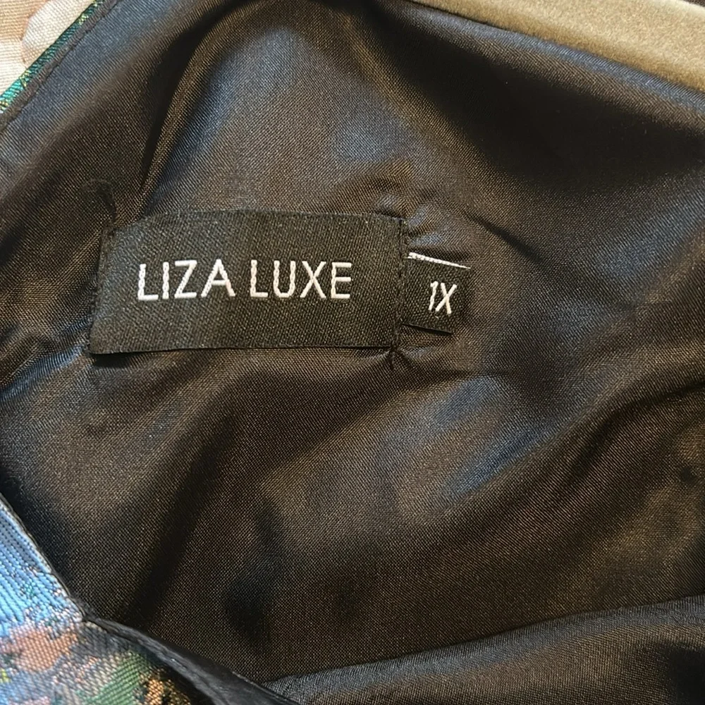 Modcloth Liza Luxe dress Size 1X (1XL) Fit & Flare Jacquard - Picture 3 of 5